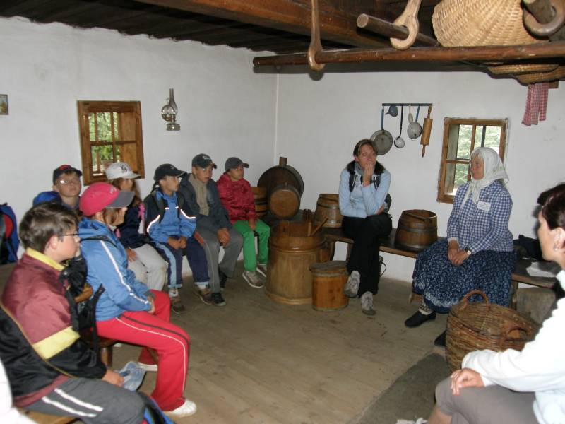 skanzen11